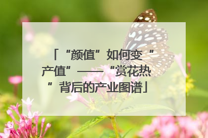 “颜值”如何变“产值”——“赏花热”背后的产业图谱