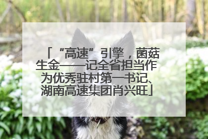 “高速”引擎，菌菇生金——记全省担当作为优秀驻村第一书记、湖南高速集团肖兴旺