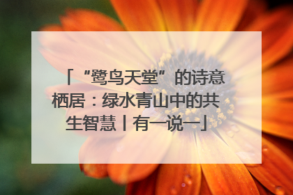 “鹭鸟天堂”的诗意栖居：绿水青山中的共生智慧丨有一说一