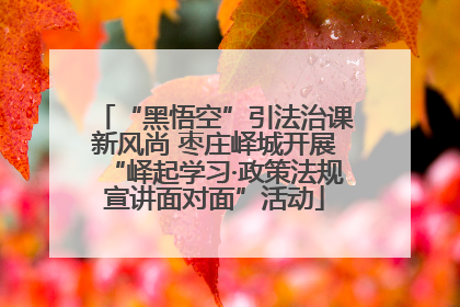 “黑悟空”引法治课新风尚 枣庄峄城开展“峄起学习·政策法规宣讲面对面”活动