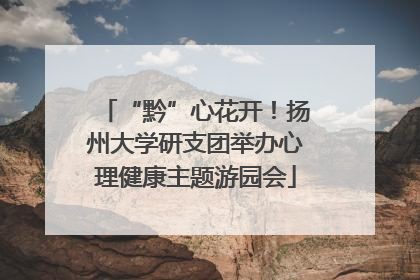 “黔”心花开！扬州大学研支团举办心理健康主题游园会