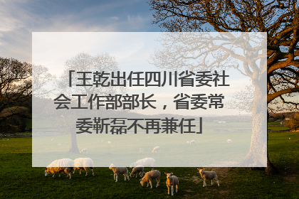 王乾出任四川省委社会工作部部长，省委常委靳磊不再兼任