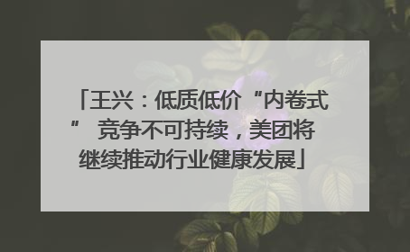 王兴：低质低价“内卷式” 竞争不可持续，美团将继续推动行业健康发展