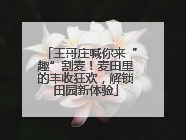 王哥庄喊你来“趣”割麦！麦田里的丰收狂欢，解锁田园新体验