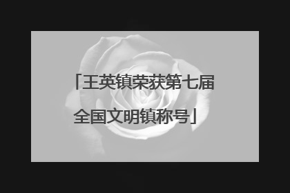 王英镇荣获第七届全国文明镇称号