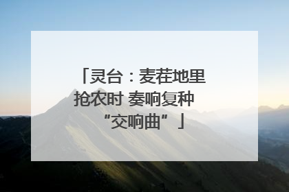 灵台：麦茬地里抢农时 奏响复种“交响曲”