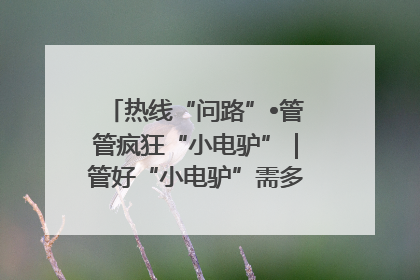 热线“问路”•管管疯狂“小电驴”｜管好“小电驴”需多部门形成合力