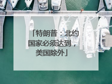 特朗普：北约国家必须达到，美国除外