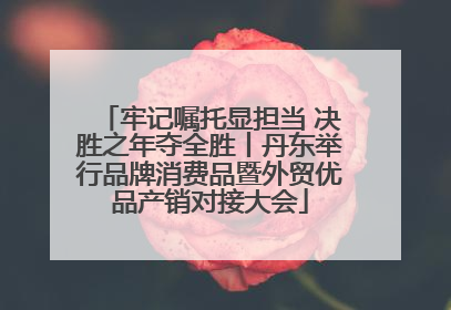 牢记嘱托显担当 决胜之年夺全胜丨丹东举行品牌消费品暨外贸优品产销对接大会