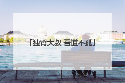 独臂大叔 吾道不孤