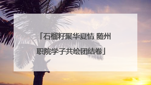石榴籽聚华夏情 随州职院学子共绘团结卷