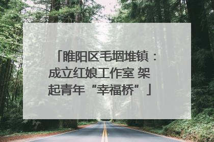 睢阳区毛堌堆镇：成立红娘工作室 架起青年“幸福桥”