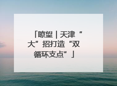 瞭望｜天津“大”招打造“双循环支点”