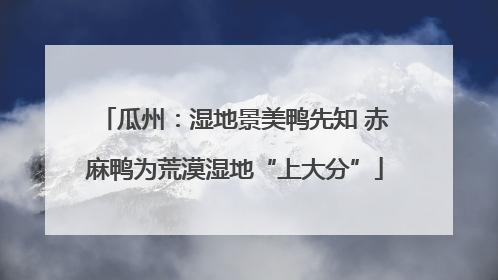 瓜州：湿地景美鸭先知 赤麻鸭为荒漠湿地“上大分”