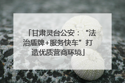 甘肃灵台公安：“法治盾牌+服务快车”打造优质营商环境