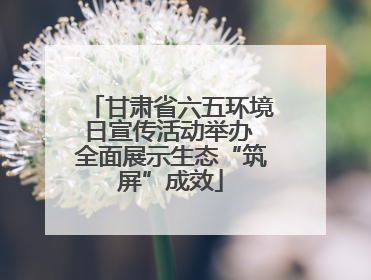 甘肃省六五环境日宣传活动举办 全面展示生态“筑屏”成效