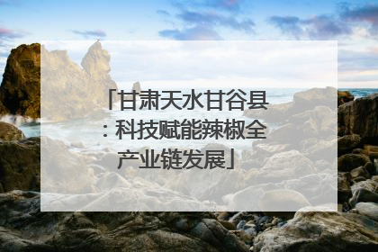 甘肃天水甘谷县：科技赋能辣椒全产业链发展