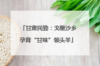 甘肃民勤：戈壁沙乡孕育“甘味”领头羊