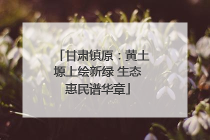 甘肃镇原：黄土塬上绘新绿 生态惠民谱华章