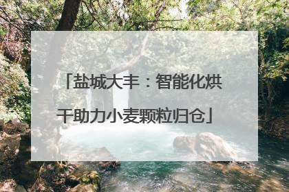 盐城大丰：智能化烘干助力小麦颗粒归仓