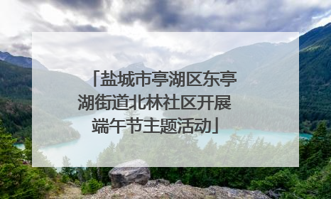 盐城市亭湖区东亭湖街道北林社区开展端午节主题活动