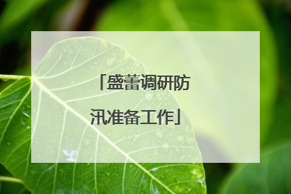 盛蕾调研防汛准备工作