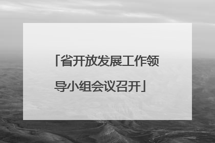 省开放发展工作领导小组会议召开