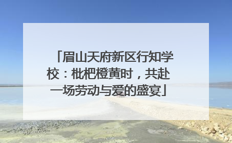 眉山天府新区行知学校：枇杷橙黄时，共赴一场劳动与爱的盛宴