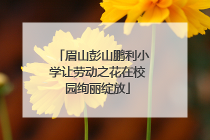 眉山彭山鹏利小学让劳动之花在校园绚丽绽放