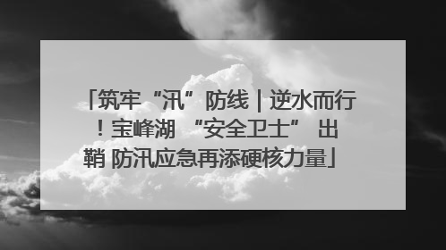 筑牢“汛”防线｜逆水而行！宝峰湖 “安全卫士” 出鞘 防汛应急再添硬核力量