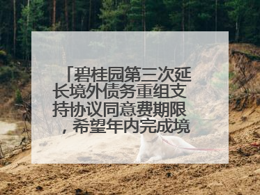 碧桂园第三次延长境外债务重组支持协议同意费期限，希望年内完成境外债务重组