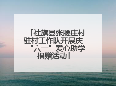 社旗县张腰庄村驻村工作队开展庆“六一”爱心助学捐赠活动