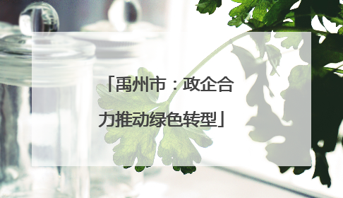 禹州市：政企合力推动绿色转型