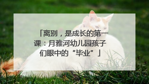 离别，是成长的第一课：月雅河幼儿园孩子们眼中的“毕业”
