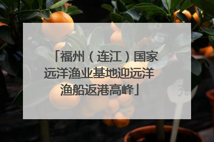 福州（连江）国家远洋渔业基地迎远洋渔船返港高峰