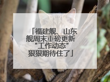 福建舰、山东舰周末重磅更新“工作动态” 狠狠期待住了