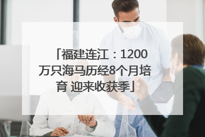 福建连江：1200万只海马历经8个月培育 迎来收获季