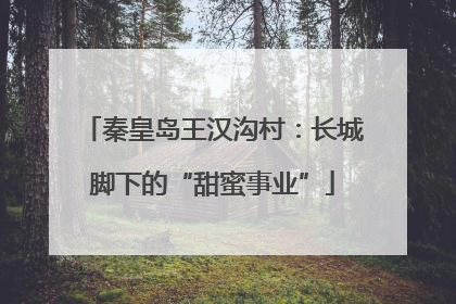 秦皇岛王汉沟村：长城脚下的“甜蜜事业”