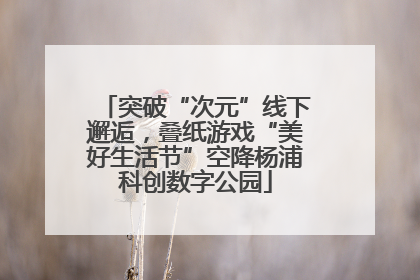 突破“次元”线下邂逅，叠纸游戏“美好生活节”空降杨浦科创数字公园