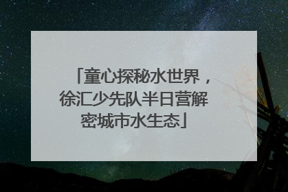 童心探秘水世界，徐汇少先队半日营解密城市水生态