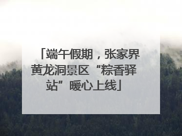 端午假期，张家界黄龙洞景区“粽香驿站”暖心上线