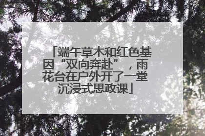 端午草木和红色基因“双向奔赴”，雨花台在户外开了一堂沉浸式思政课
