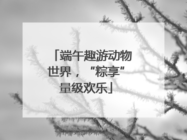 端午趣游动物世界，“粽享”量级欢乐