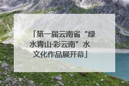 第一届云南省“绿水青山·彩云南”水文化作品展开幕