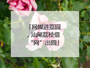 网媒进荔园，汕尾荔枝借“网”出圈