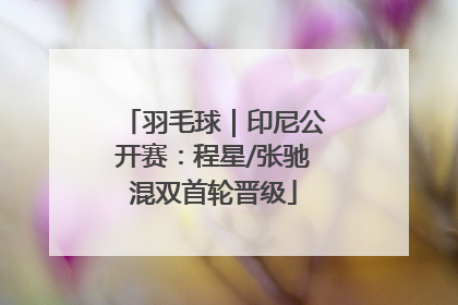 羽毛球｜印尼公开赛：程星/张驰混双首轮晋级
