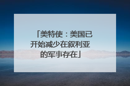 美特使：美国已开始减少在叙利亚的军事存在