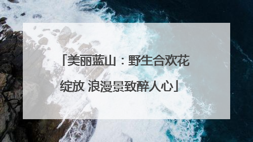 美丽蓝山：野生合欢花绽放 浪漫景致醉人心