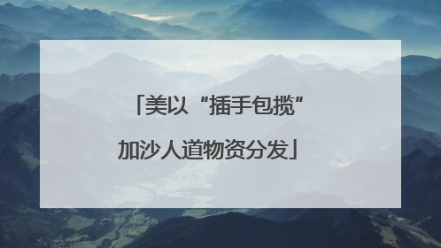 美以“插手包揽”加沙人道物资分发