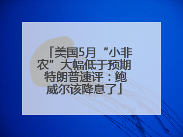 美国5月“小非农”大幅低于预期 特朗普速评：鲍威尔该降息了